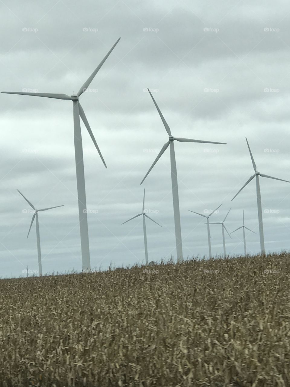 Modern Electric windmills