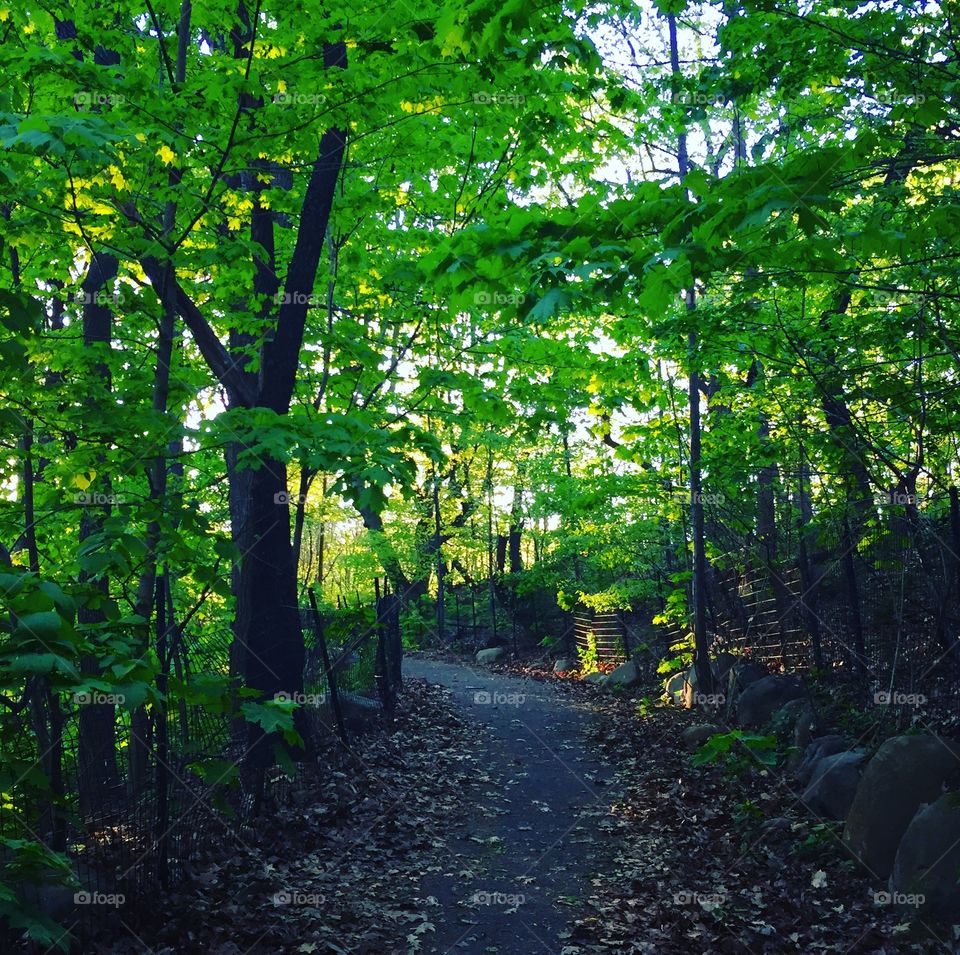 Prospect Park, New York