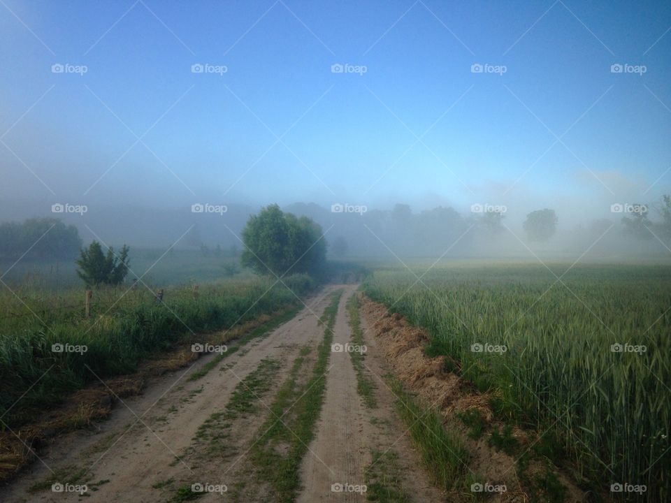 No Person, Landscape, Nature, Rural, Agriculture