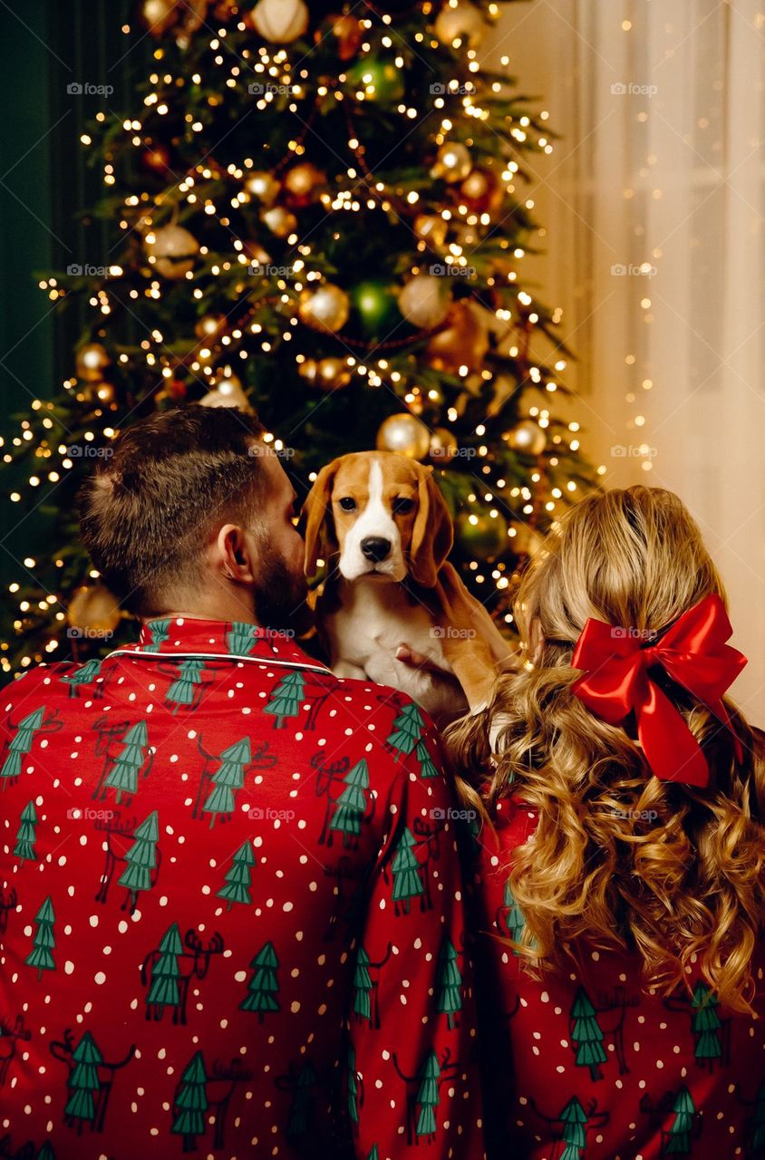 Couple in love on red pajamas with beagle dog near New Year Eve