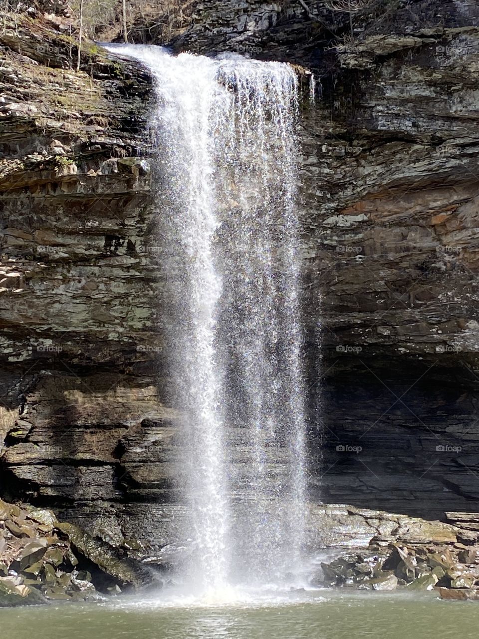 Petit Jean Mountain 