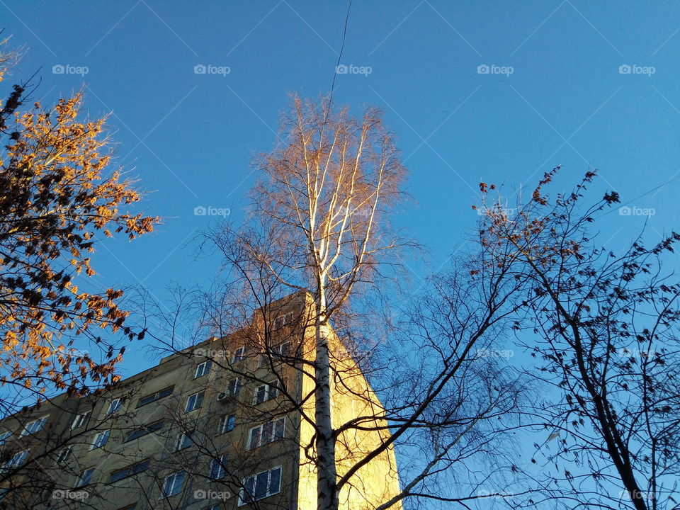 небо.зима.город.