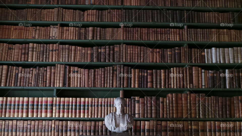 centuries old book shelfs