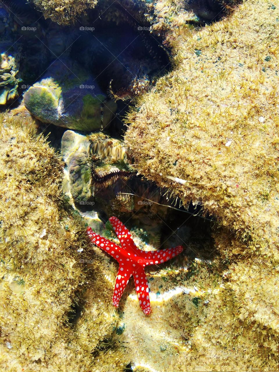 upload photo on the week