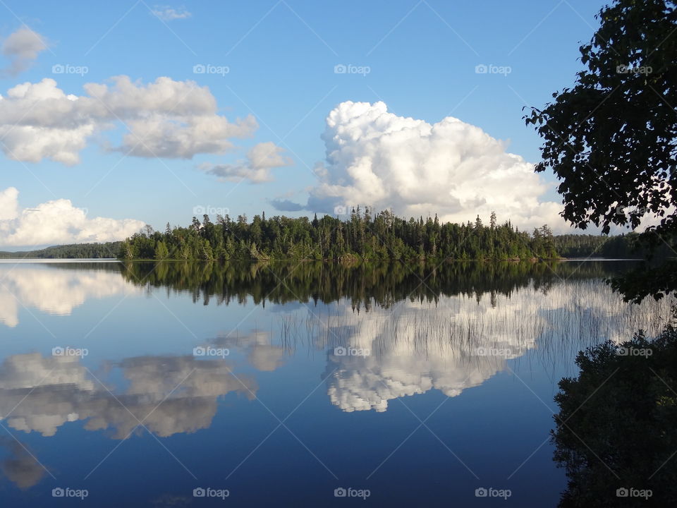 Reflection of trees in idyllic lake