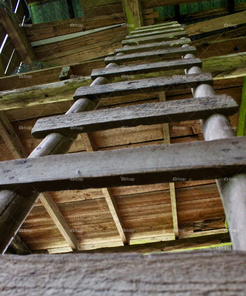 Barn Ladder Up