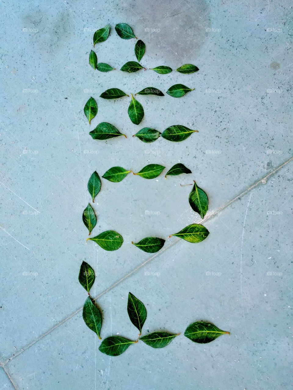 green tree name foap