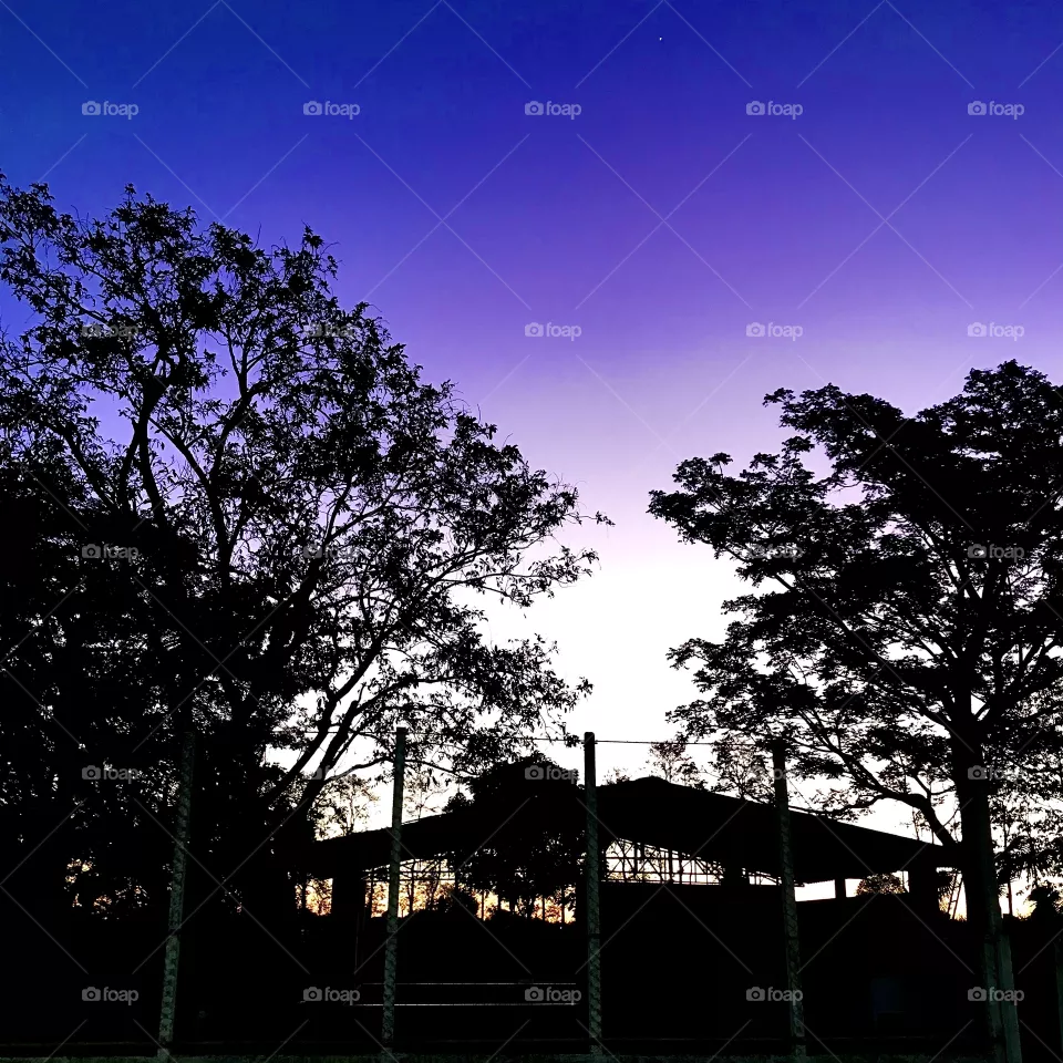 Purple Sky