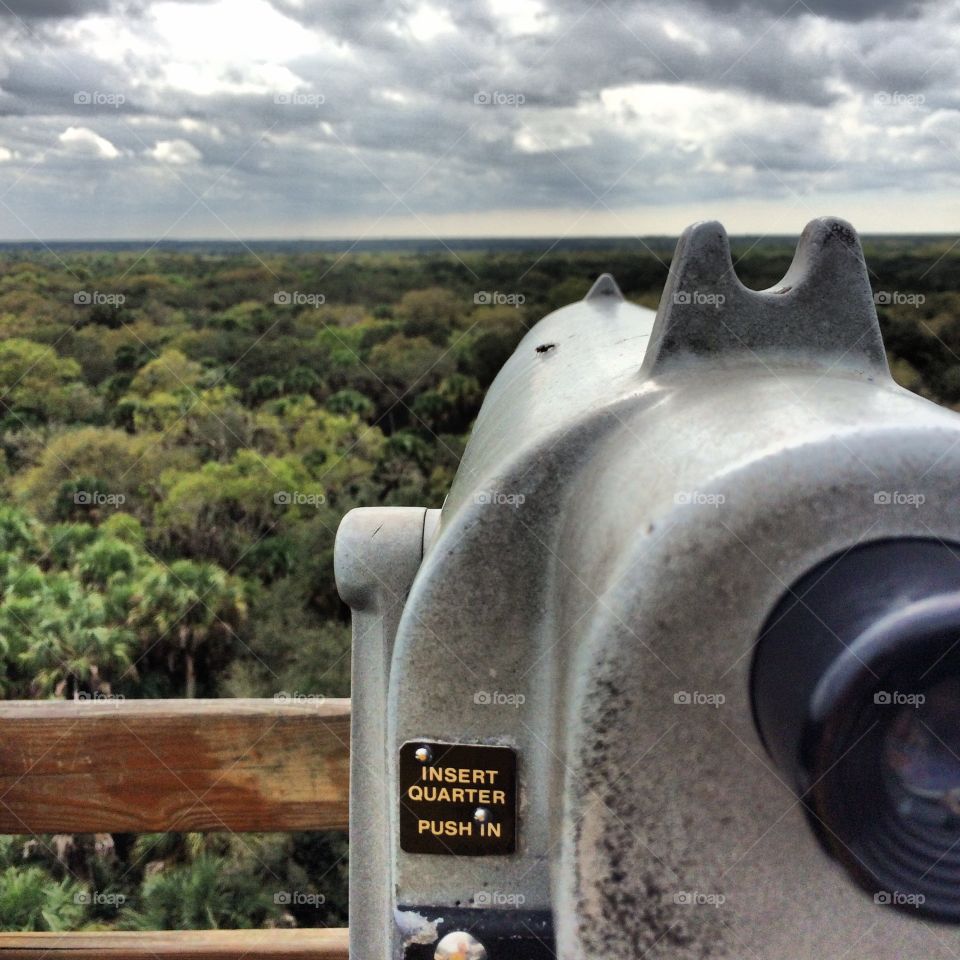 To the ends of the earth. A view as far as the eye can see, across the swamps of Florida