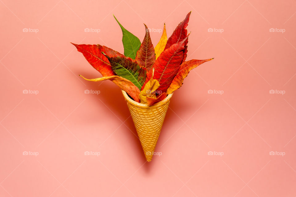 Creative concept of ice cream cone with autumn leaves