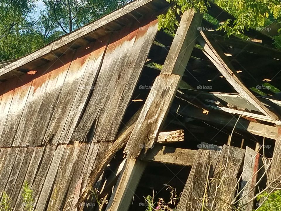 Driving the Back Roads and enjoying everything around us