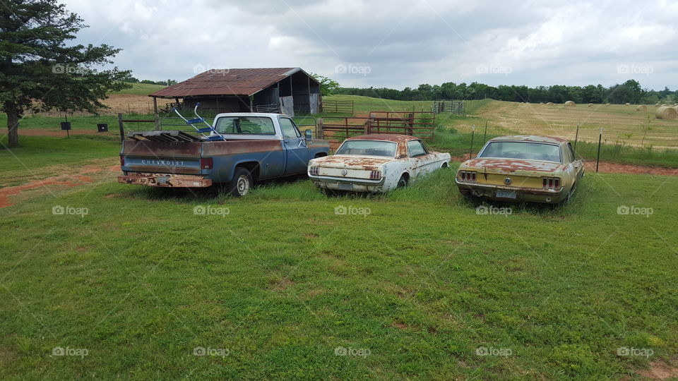 old cars out at my grandpa's farm