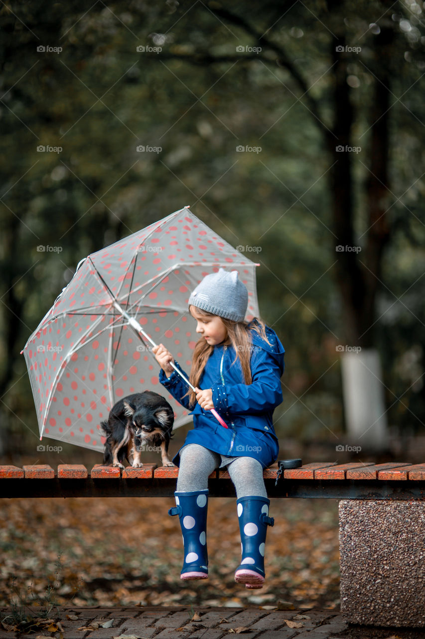 Little girl with umbrella in waterproof boots walking with chihuahua dog 