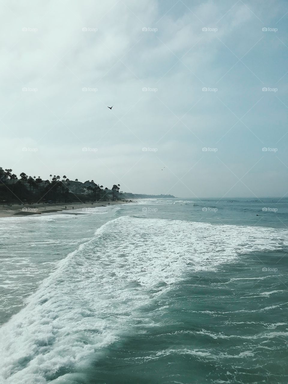 A foggy morning at a beach on the west coast watching some waves. 