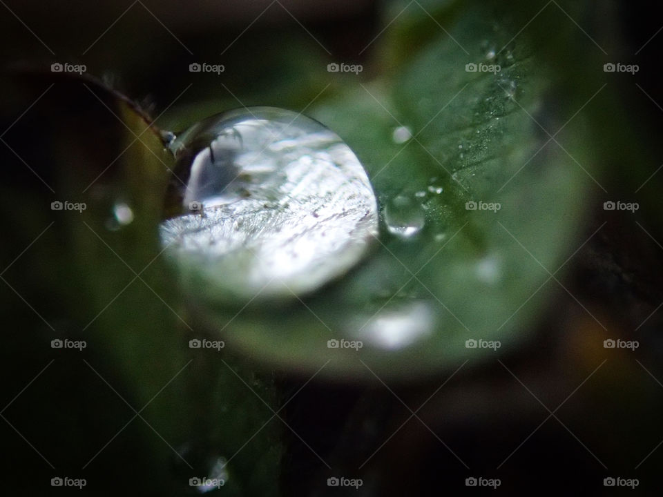 Beautiful macro shot of a water drop on a peace of a plant on a dark background