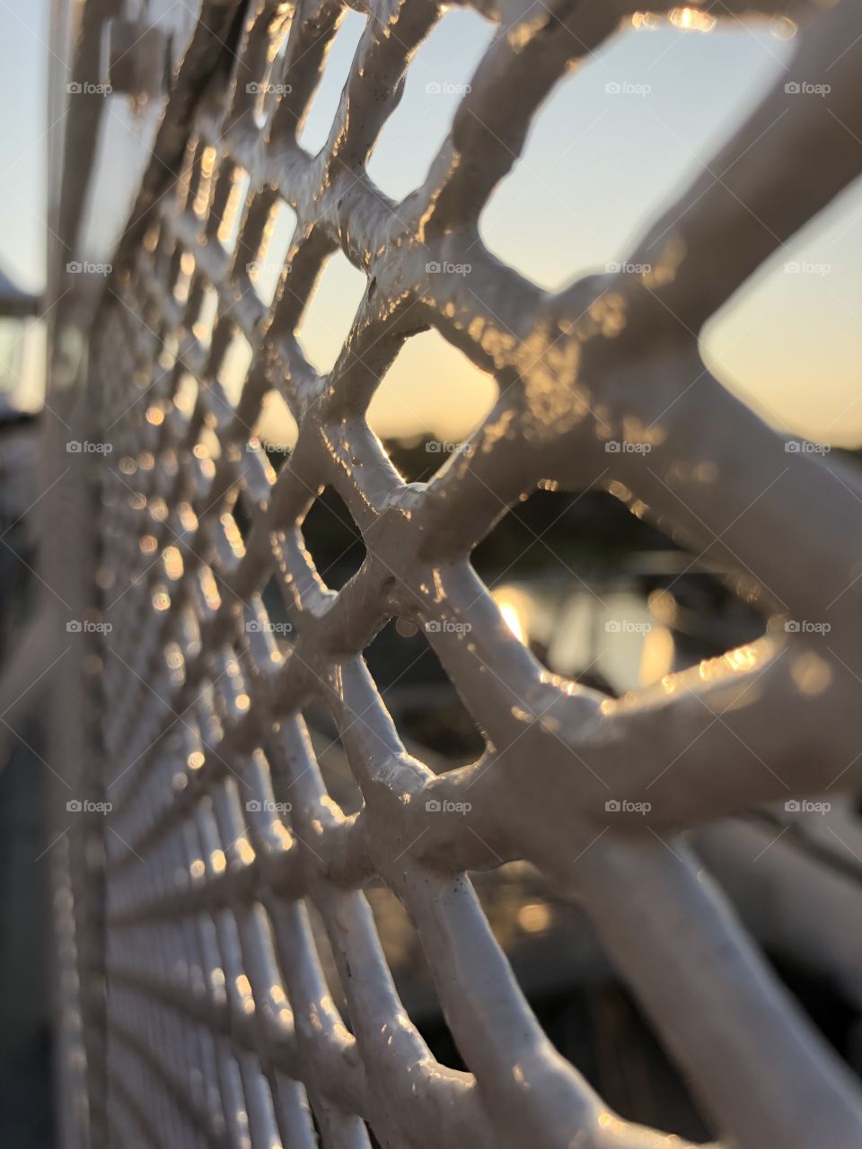 Fence at sunset