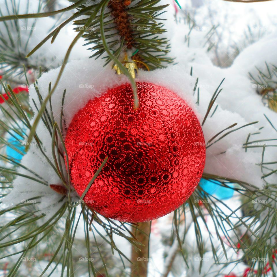 New Year's toys on a pine tree