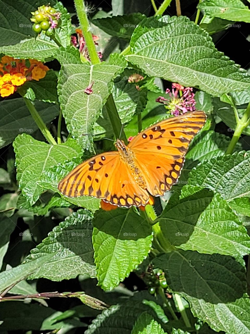 Naturally spring-like