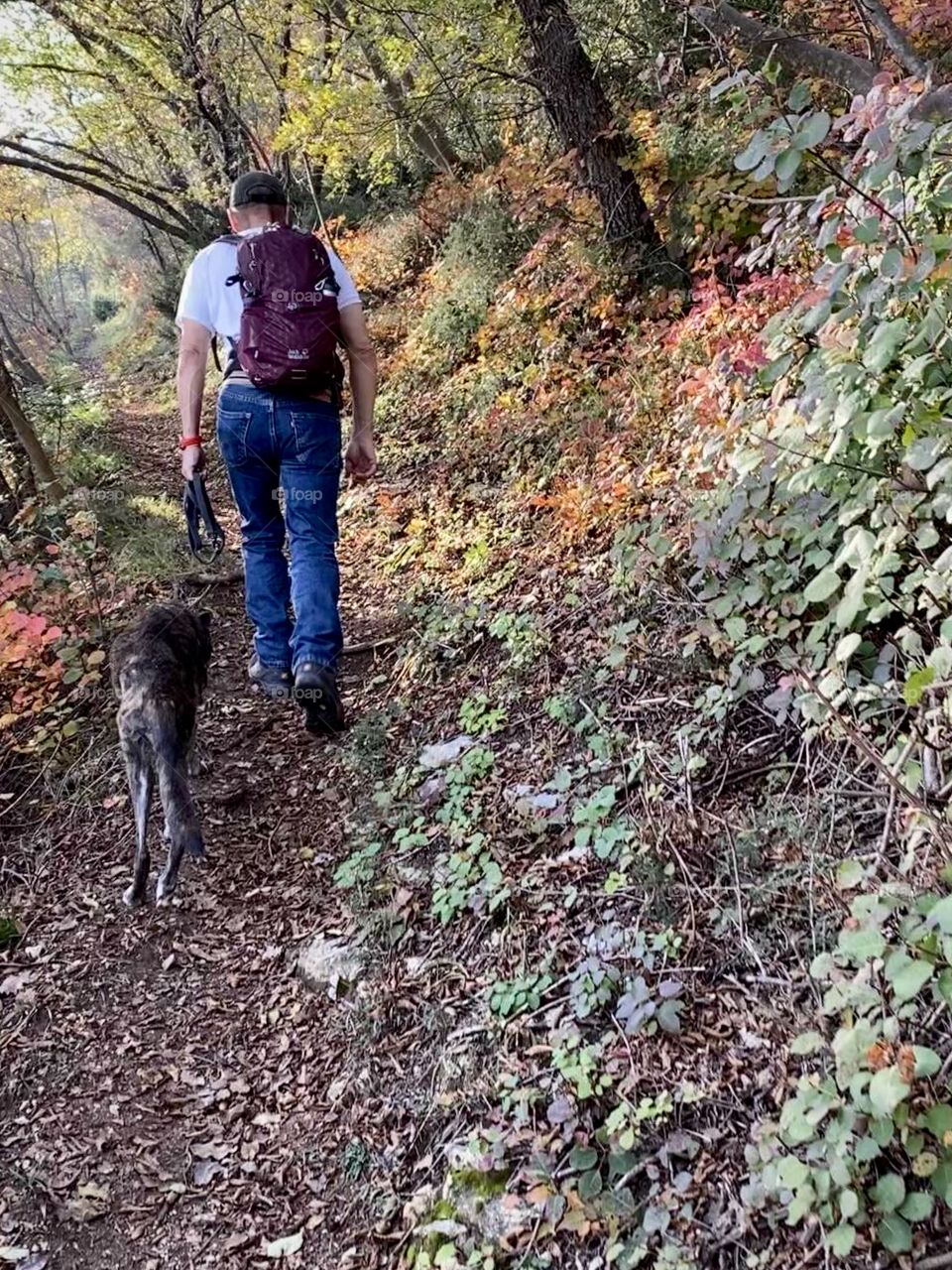  Man and dog walking uphill on a groomed trail on a warm autumn day in Italy