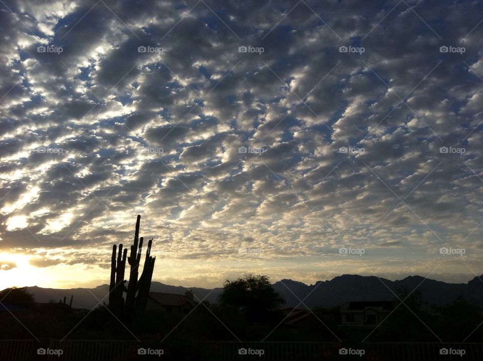 Tucson Arizona Sunrise