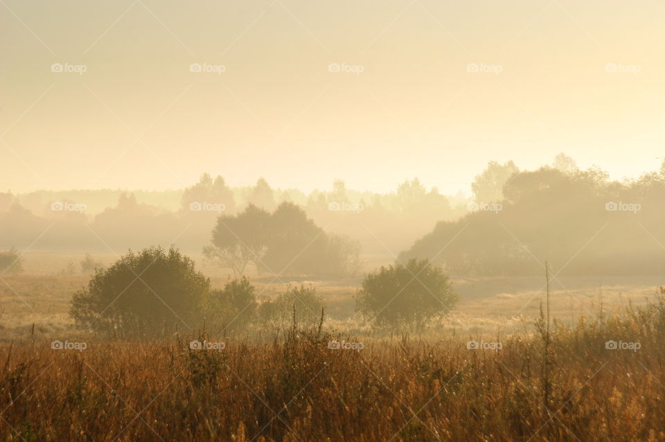 Misty morning autumn landscape