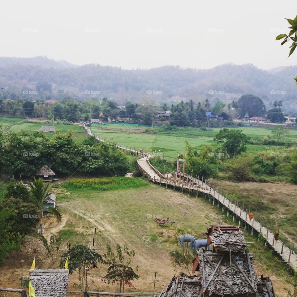 Bamboo bridge in village