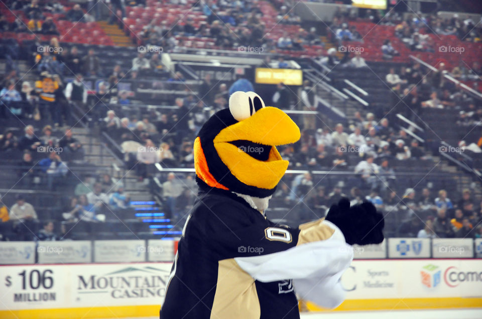 Pittsburgh Penguins mascot Iceburgh. 