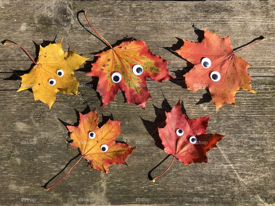 Colourful autumn leaves with black googly eyes on rustic wooden table