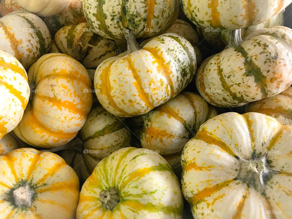 Small white pumpkins 