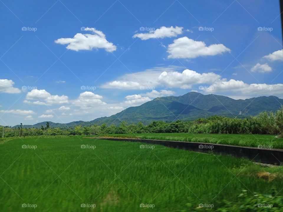 Photos of the week -- Meadow on a sunny day