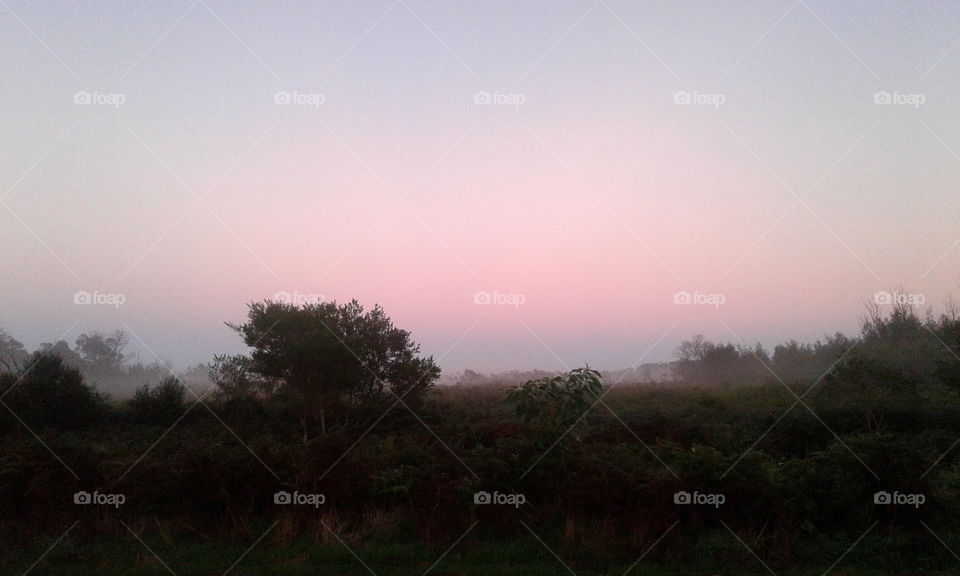 Foggy morning against sunrise