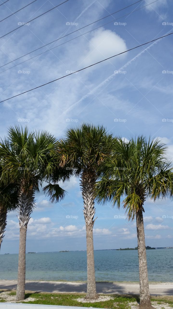 Honeymoon Island State park . Beautiful sunny January day