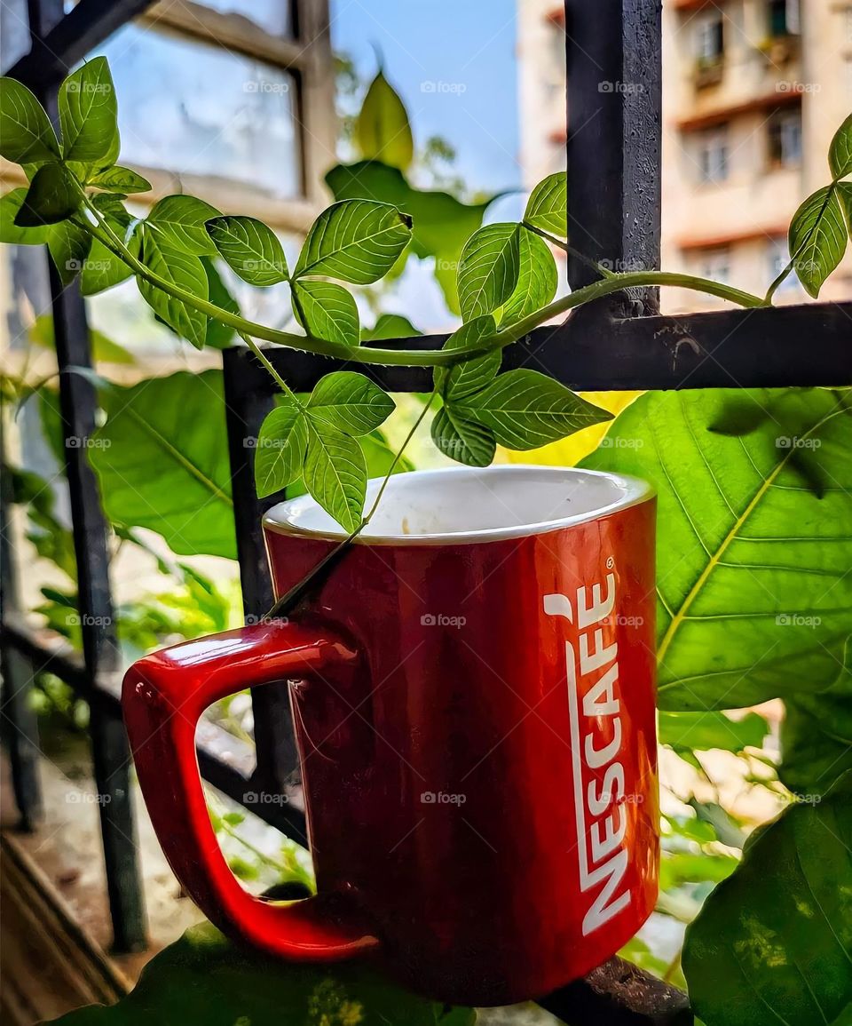 beautiful view with coffee...