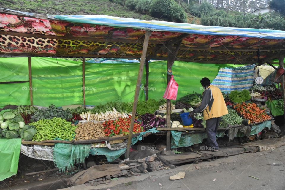 Vegetables Market 