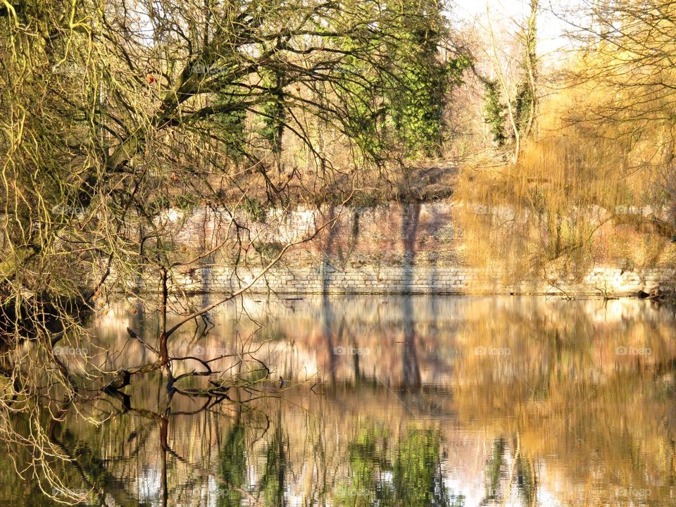 View of forest