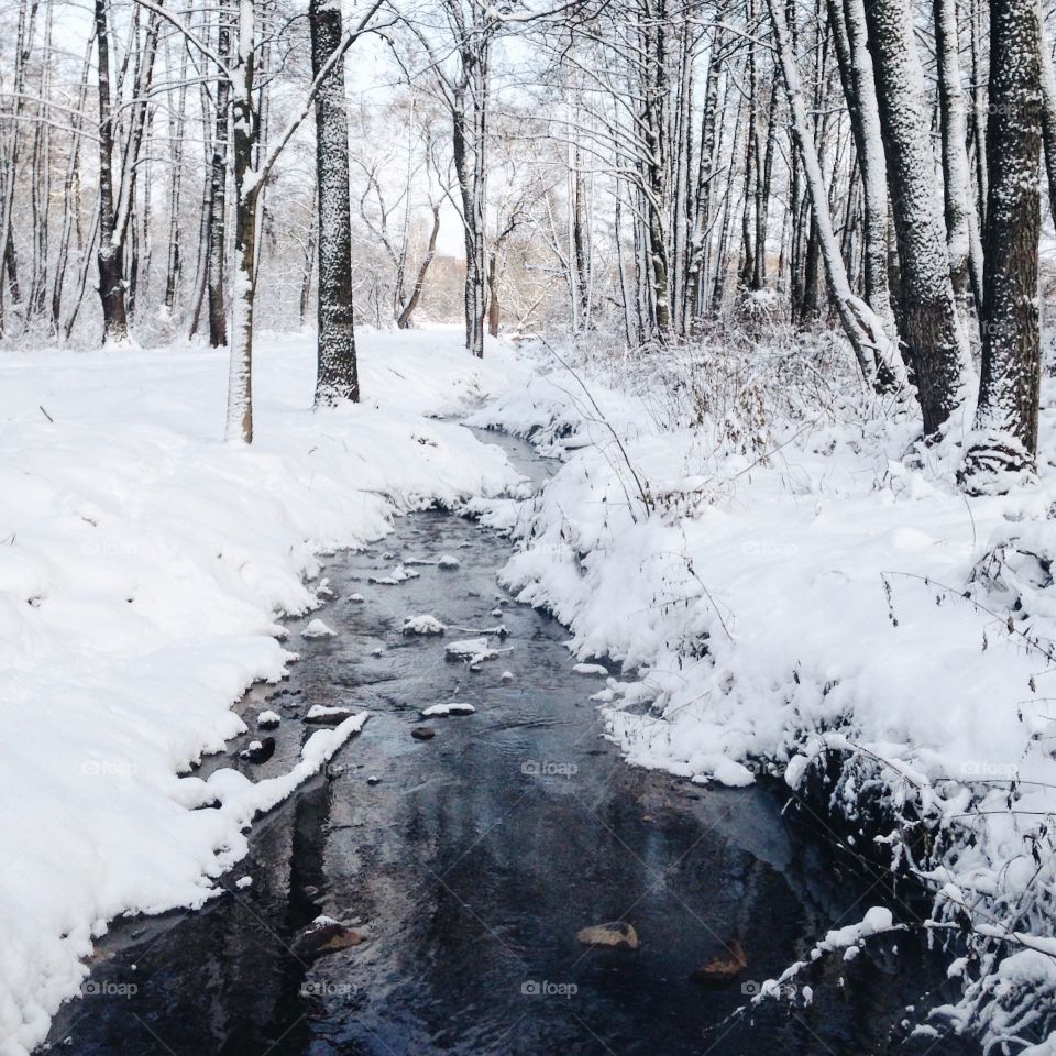 View of river in winter