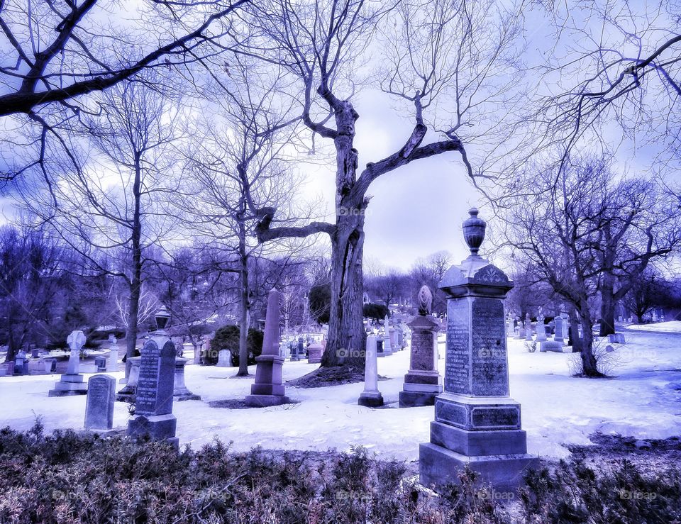 Cemetery Montreal