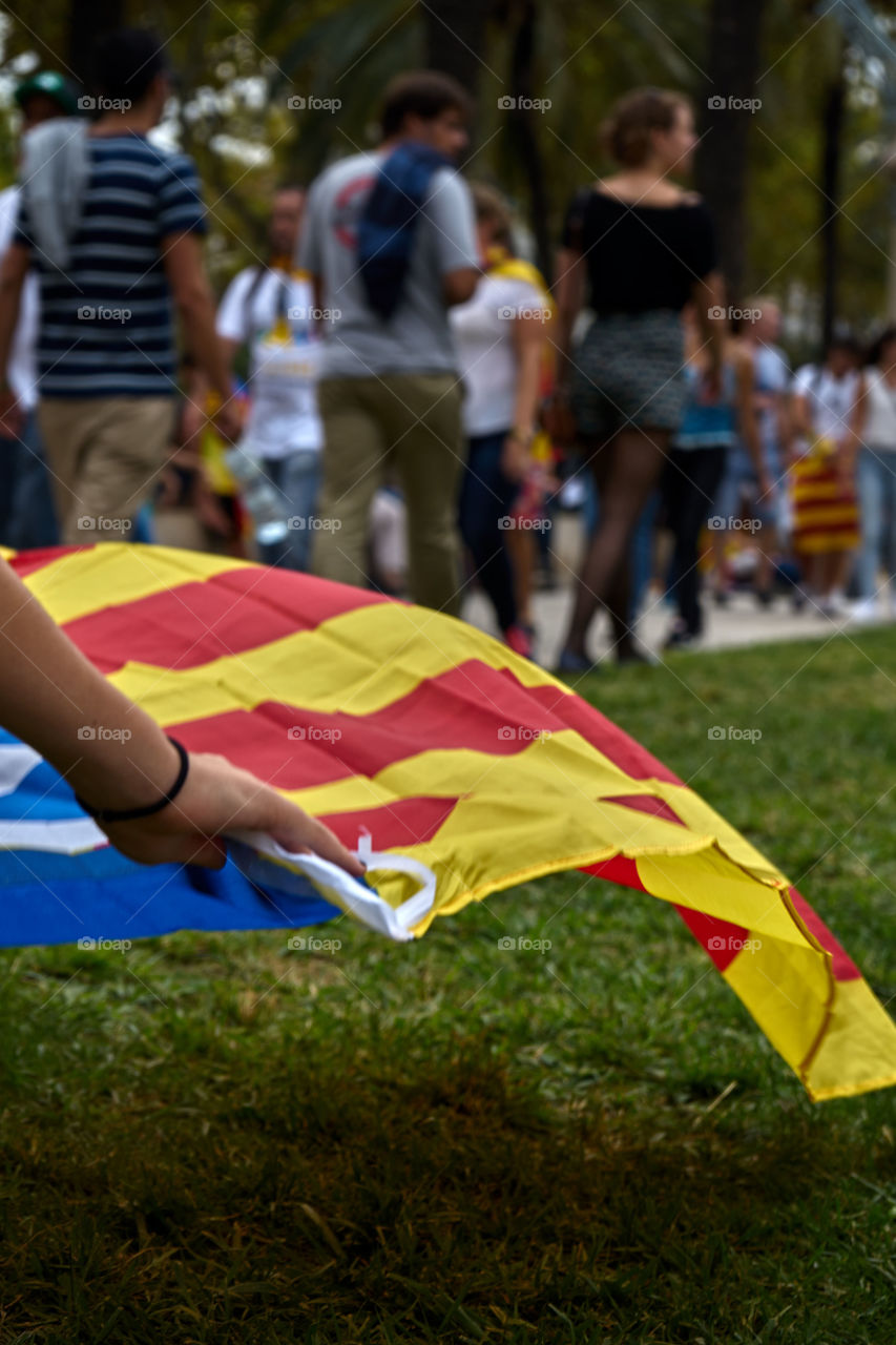 Flag towel