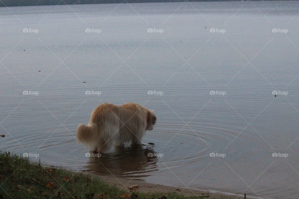 making rippled reflection