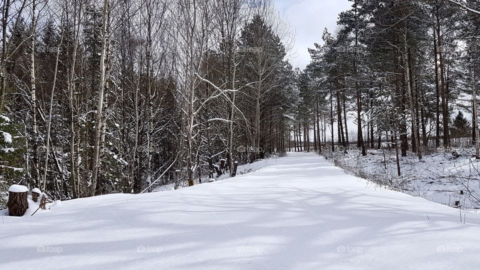 Fresh snow on the road in the forest- ny orörd snö på väg i skogen, vinter vår aprilväder 