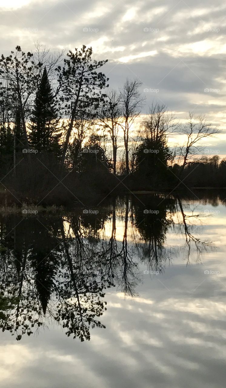 Trees reflected into a lake at sunrise 
