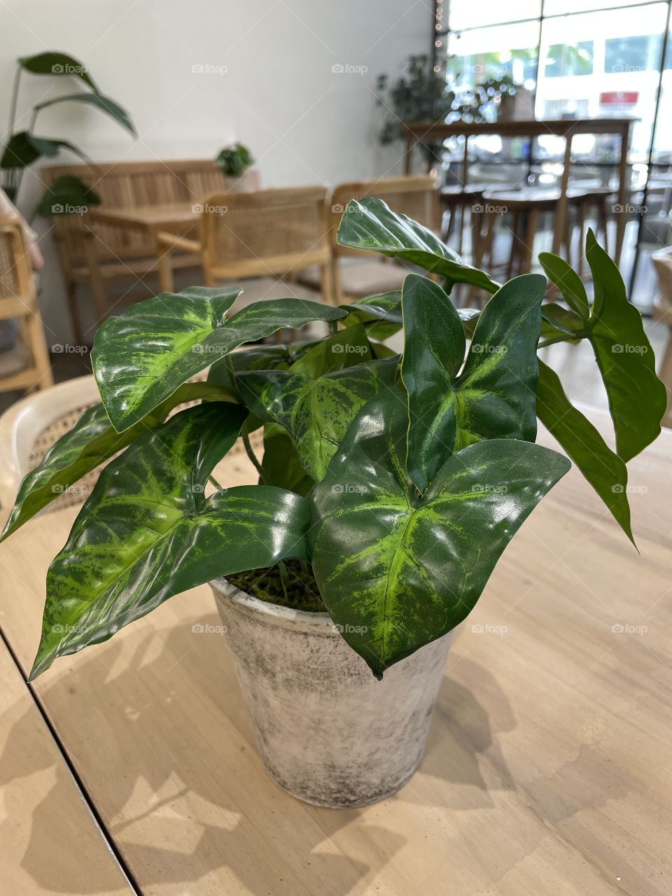 Plastic indoor plant that adds color and beauty to the space.