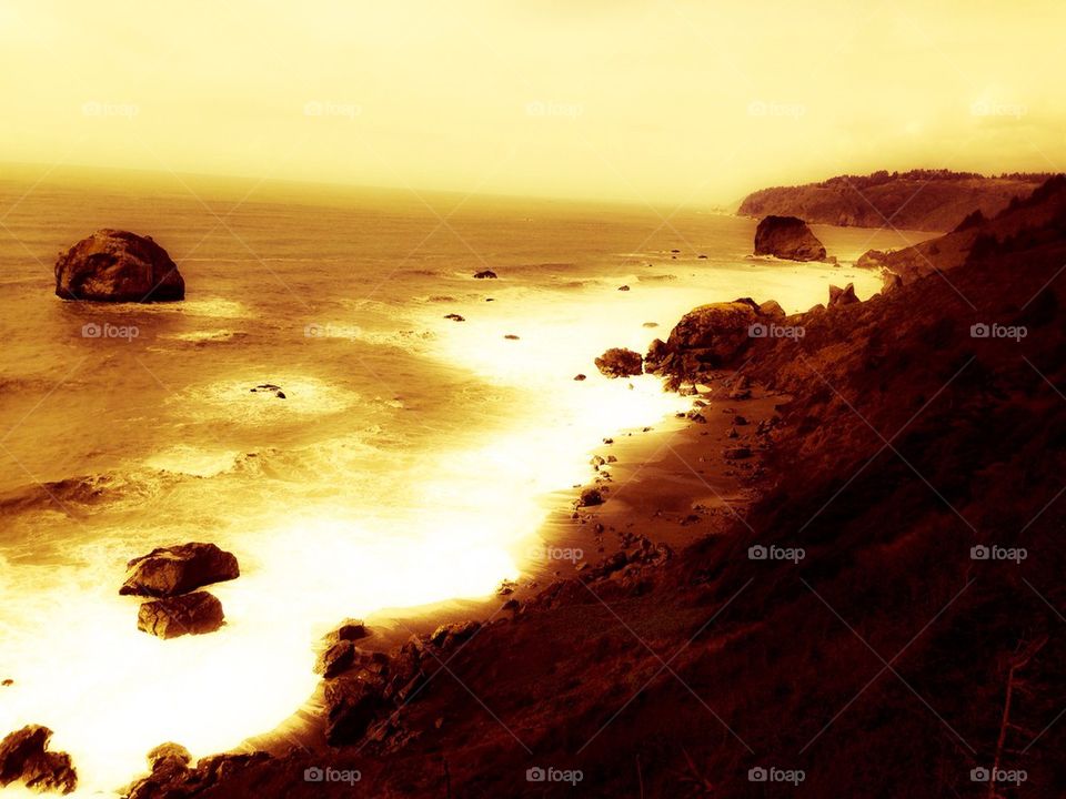 Golden Coast of Humboldt 