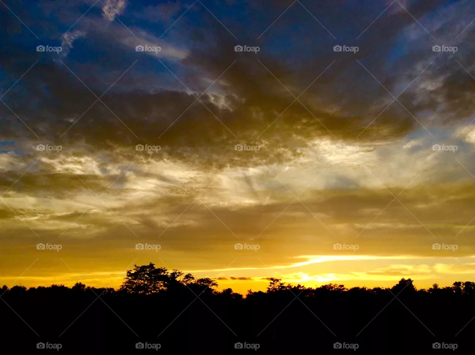 sunset