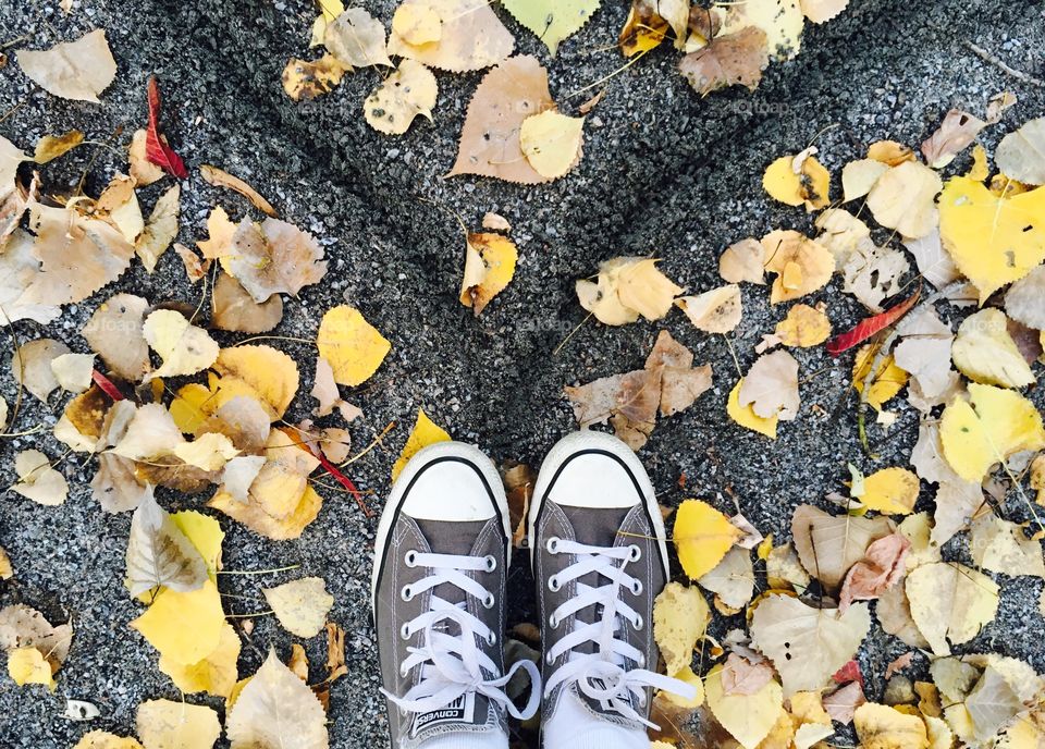Sneakers and autumn 