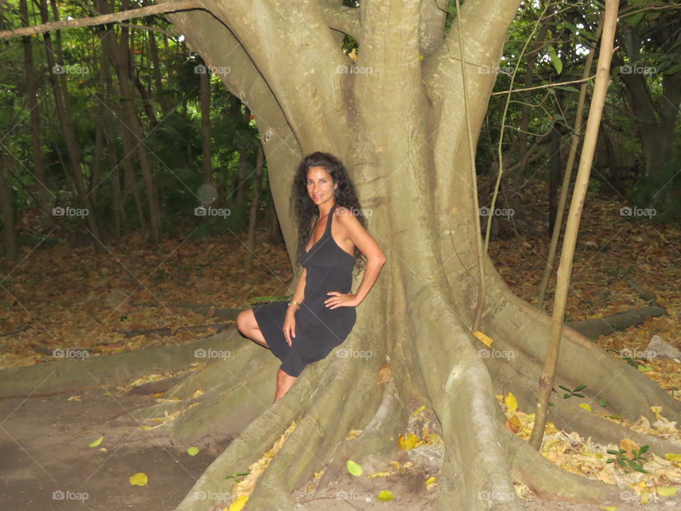 Woman and Majestic Banyon Tree.