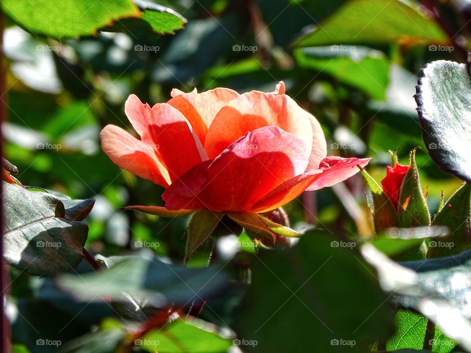 Everything with another approach