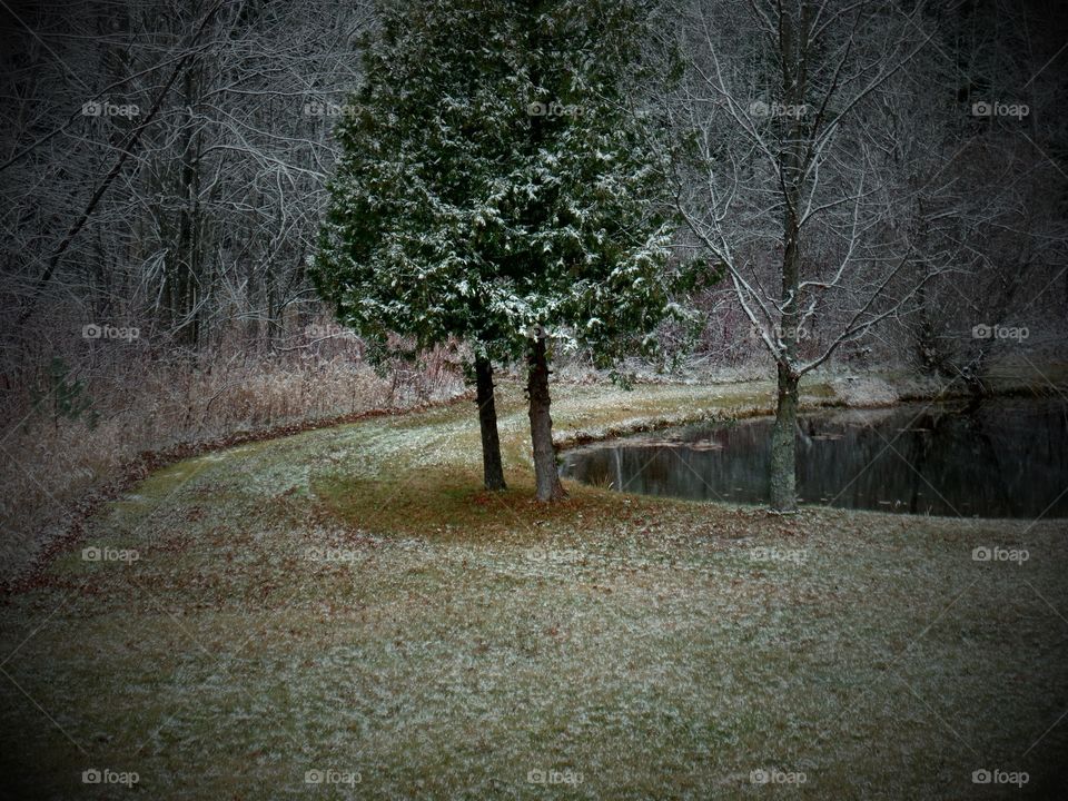 Northern Michigan 