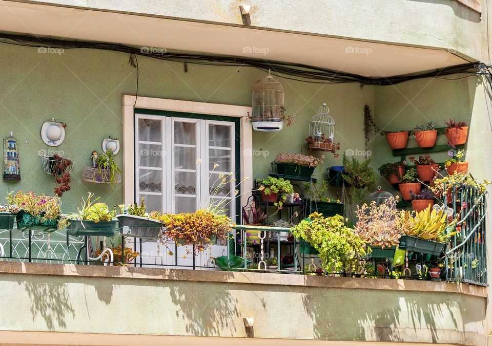 A city apartment balcony full of plants and flowers