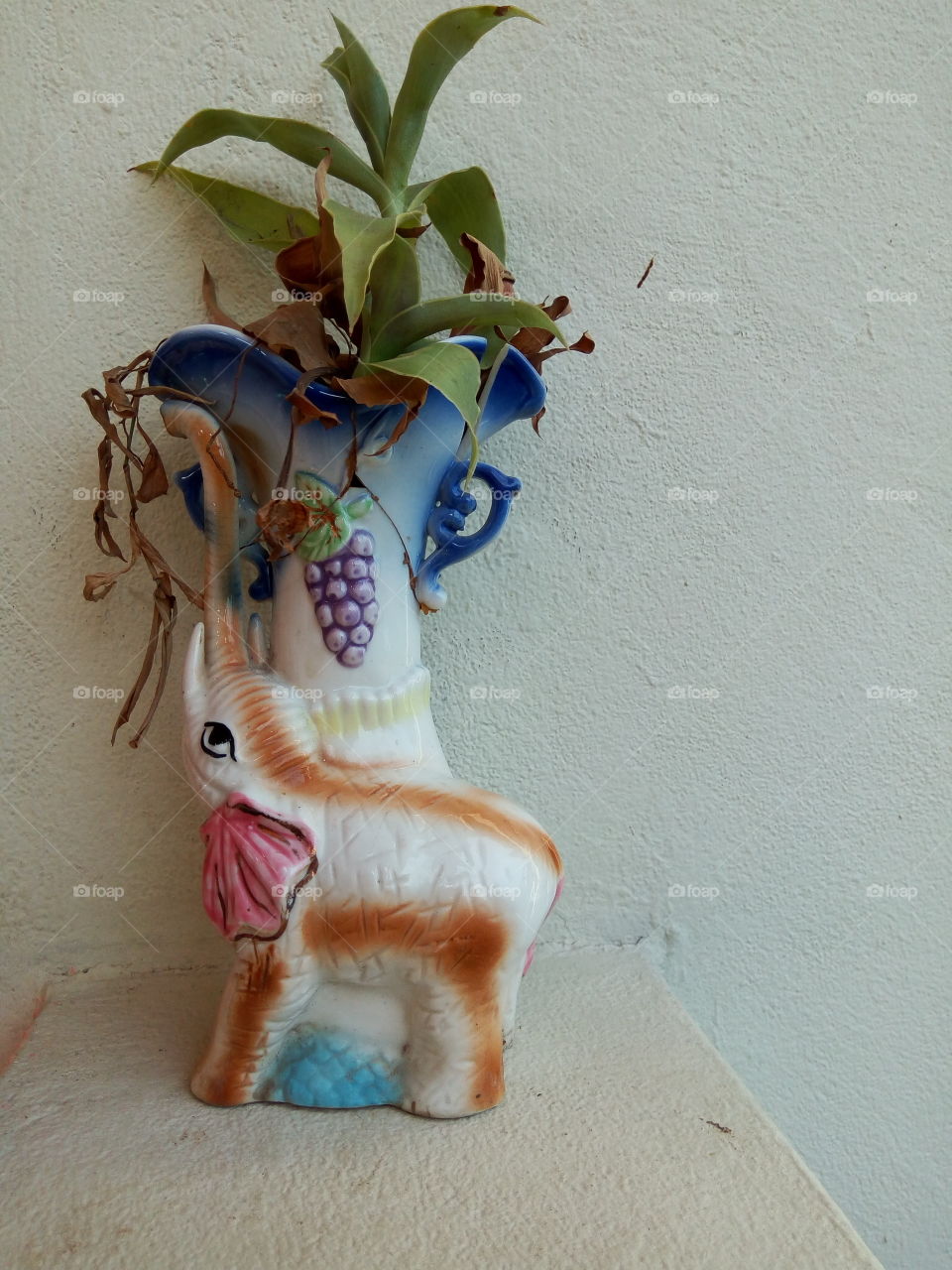 No Person, Color, Decoration, Flower, Still Life